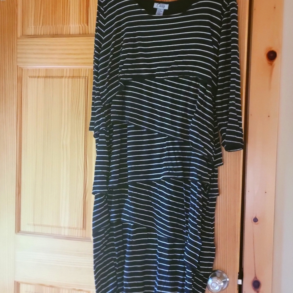 Catherines Curvy Dress 2X